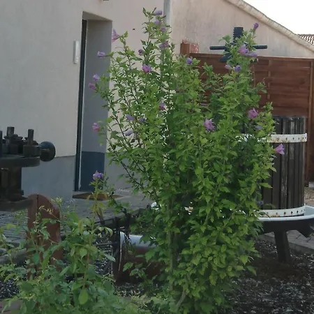 Ferienwohnung Freimersheim Apartamento *